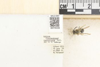 Media type: image;   Entomology 770193 Aspect: Labels